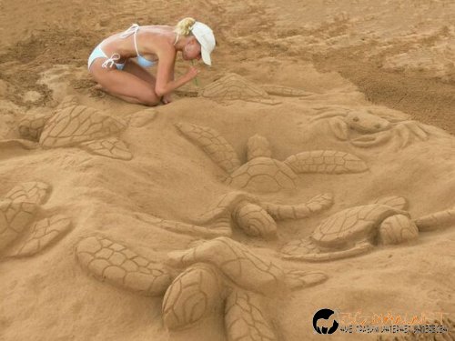 Най-интересни снимки за днес - 04.06.2010 г.