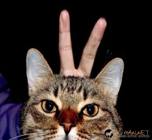 Най-интересни снимки за днес - 04.06.2010 г.