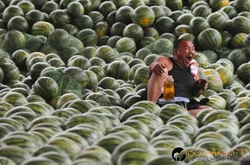 Най-интересните сниМки за днес - 07.06.2010 г.