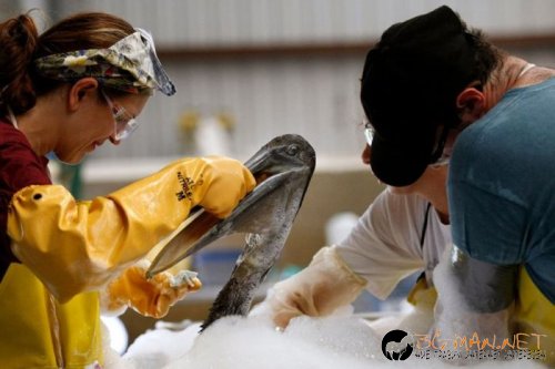 Най-интересните сниМки за днес - 07.06.2010 г.