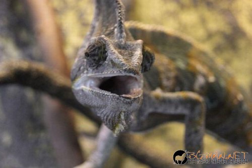 Най-интересните сниМки за днес - 07.06.2010 г.