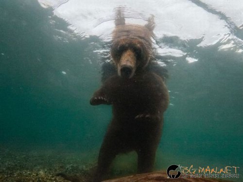 Най-интересните сниМки за днес - 07.06.2010 г.