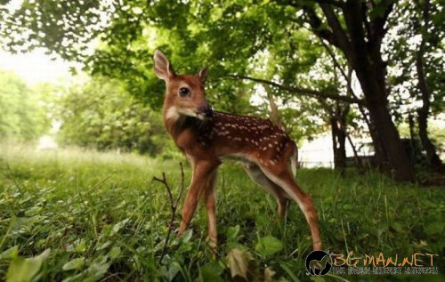 Най-интересните сниМки за днес - 07.06.2010 г.