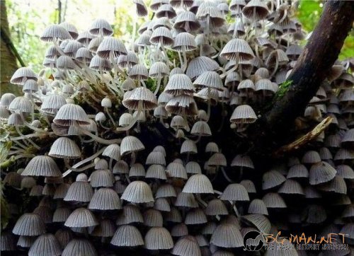 Най-интересните сниМки за днес - 07.06.2010 г.