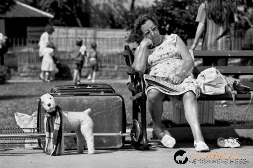 Най-интересните сниМки за днес - 07.06.2010 г.