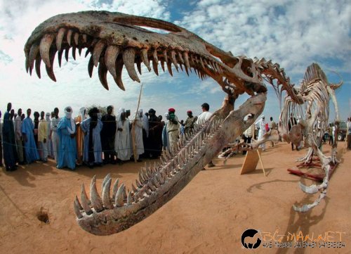 Най-интересните сниМки за днес - 07.06.2010 г.