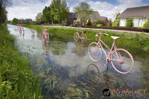 Най-интересните сниМки за днес - 07.06.2010 г.