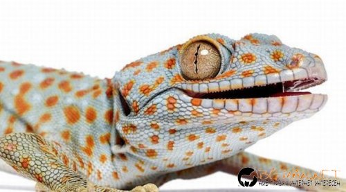 Най-интересните сниМки за днес - 07.06.2010 г.