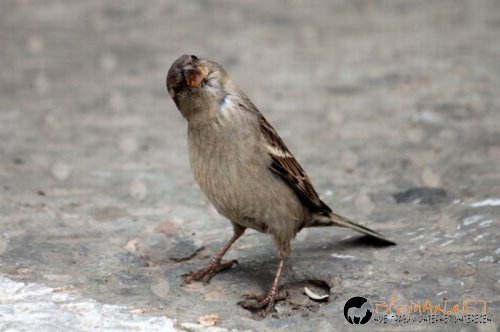 Най-интересните сниМки за днес - 07.06.2010 г.