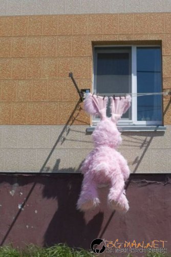 Най-интересните сниМки за днес - 07.06.2010 г.