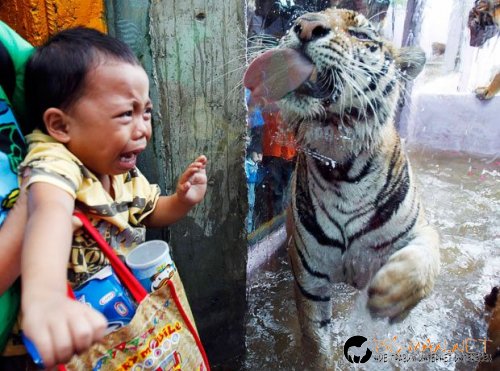 Най-интересните сниМки за днес - 07.06.2010 г.