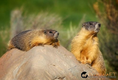 Най-интересните сниМки за днес - 07.06.2010 г.