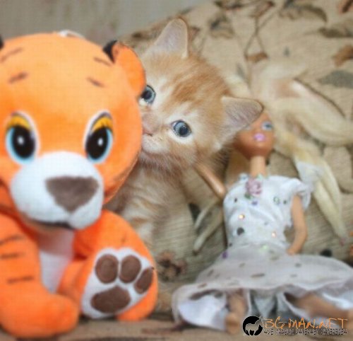 Най-интересните сниМки за днес - 07.06.2010 г.