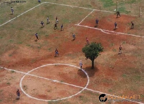 Най-интересните сниМки за днес - 07.06.2010 г.