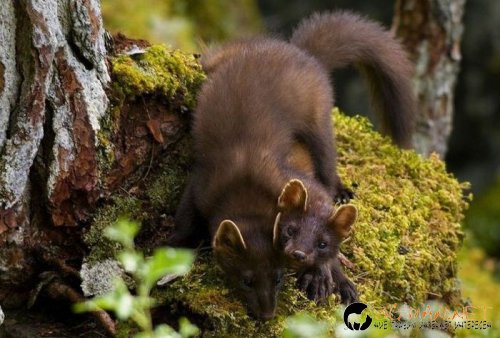 Най-интересните сниМки за днес - 07.06.2010 г.