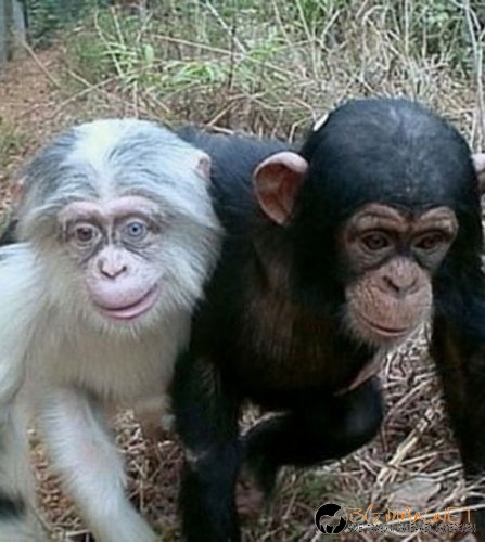 Най-интересните сниМки за днес - 07.06.2010 г.