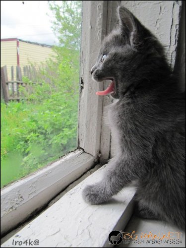 Най-интересните сниМки за днес - 07.06.2010 г.