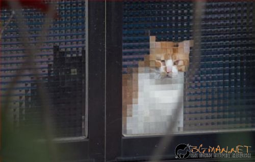 Най-интересните сниМки за днес - 07.06.2010 г.