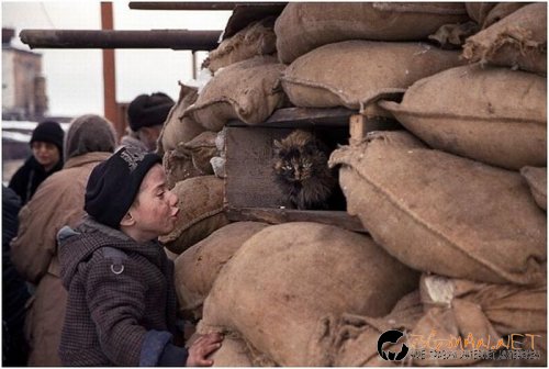 Най-интересните сниМки за днес - 07.06.2010 г.