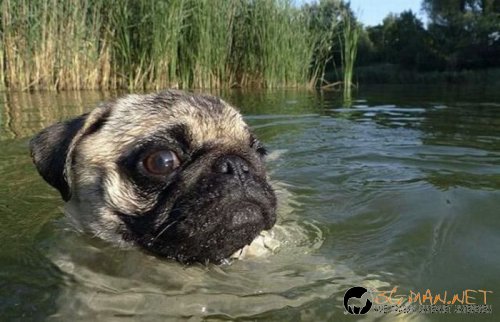 Най-интересните сниМки за днес - 07.06.2010 г.