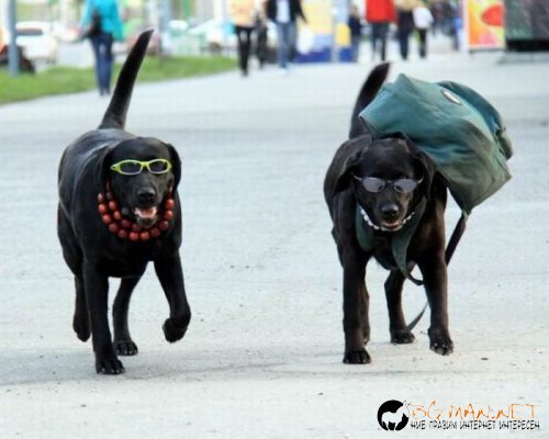 Най-интересните сниМки за днес - 07.06.2010 г.