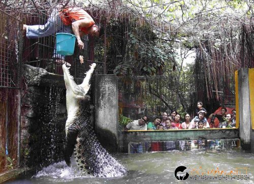 Най-интересните сниМки за днес - 07.06.2010 г.