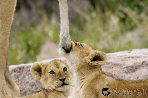 Най-интересните сниМки за днес - 07.06.2010 г.