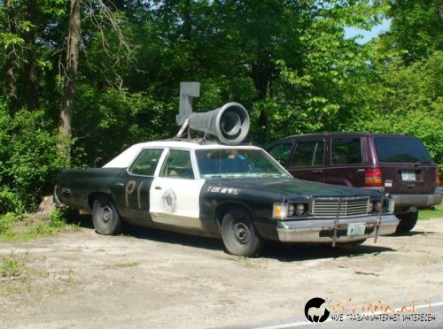 Най-интересните сниМки за днес - 07.06.2010 г.