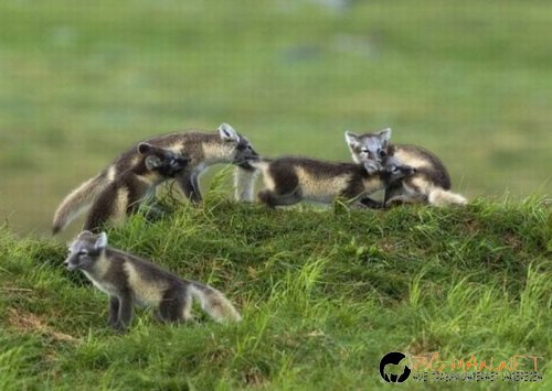 Най-интересните сниМки за днес - 07.06.2010 г.