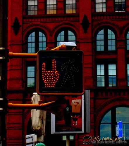 Най-интересните сниМки за днес - 07.06.2010 г.