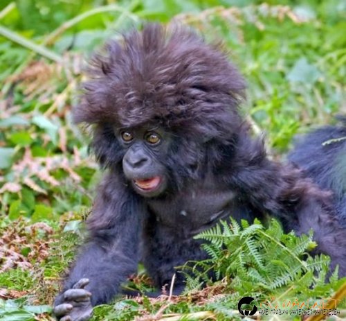 Най-интересните сниМки за днес - 08.06.2010 г.