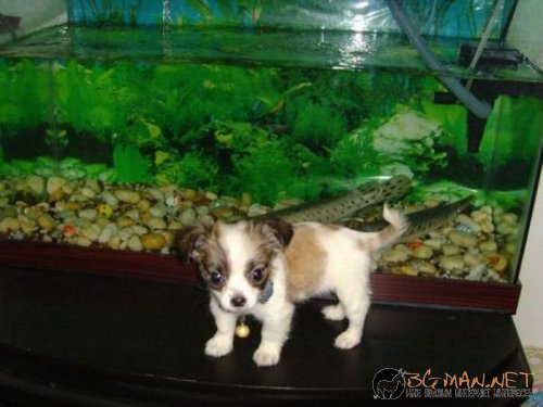 Най-интересните сниМки за днес - 08.06.2010 г.