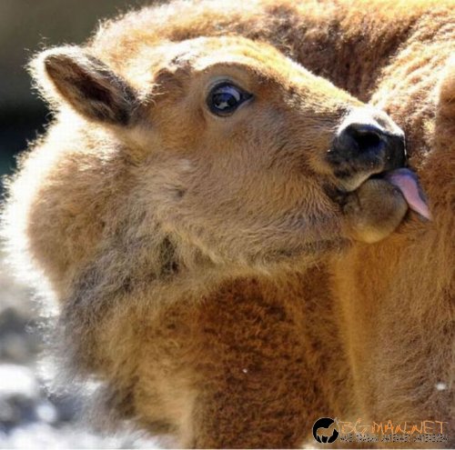 Най-интересните сниМки за днес - 08.06.2010 г.