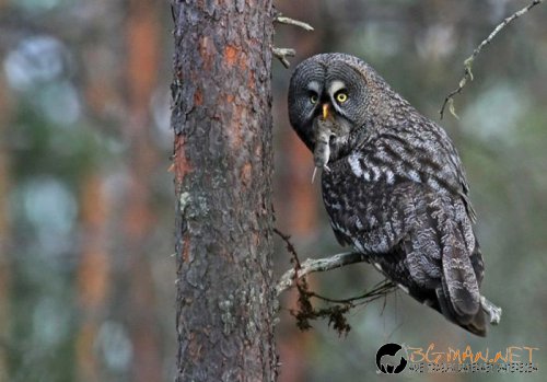 Най-интересните сниМки за днес - 08.06.2010 г.