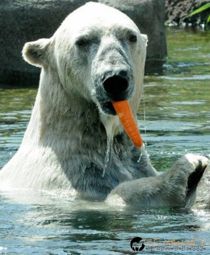 Най-интересните сниМки за днес - 08.06.2010 г.