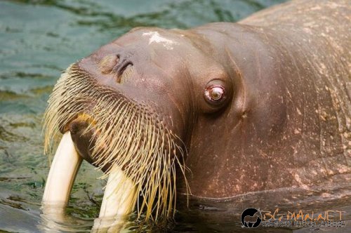 Най-интересните сниМки за днес - 08.06.2010 г.