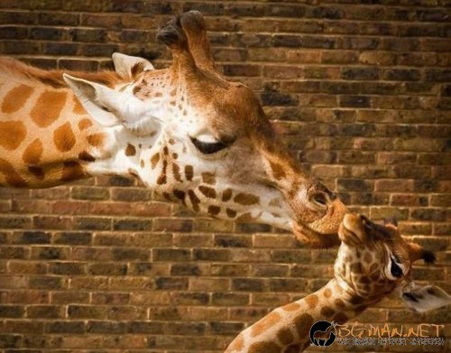 Най-интересните сниМки за днес - 08.06.2010 г.