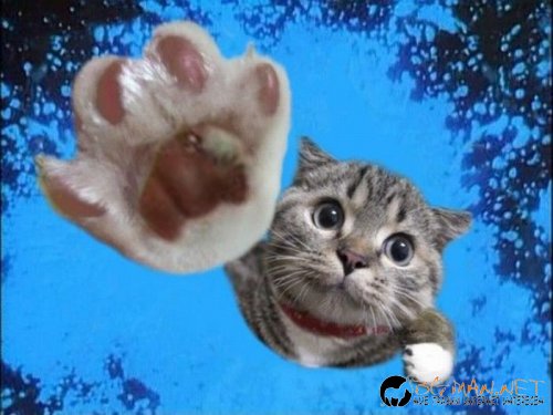 Най-интересните сниМки за днес - 08.06.2010 г.