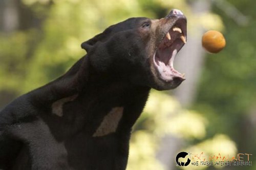 Най-интересните сниМки за днес - 08.06.2010 г.