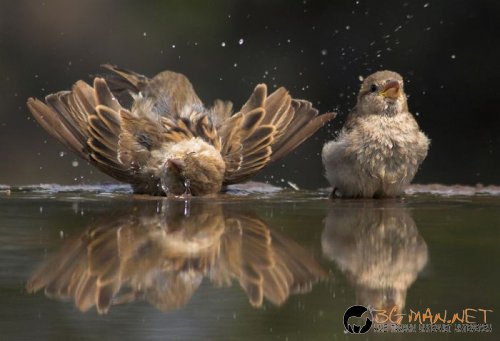 Най-интересните сниМки за днес - 08.06.2010 г.