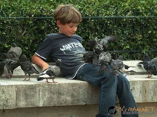 Най-интересните сниМки за днес - 08.06.2010 г.