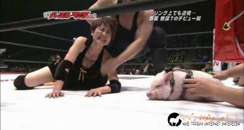 Най-интересните сниМки за днес - 08.06.2010 г.