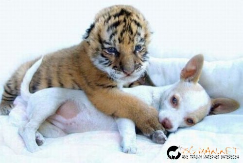 Най-интересните сниМки за днес - 08.06.2010 г.