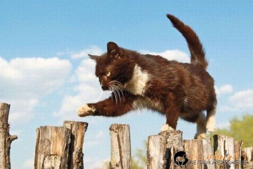 Най-интересните сниМки за днес - 08.06.2010 г.