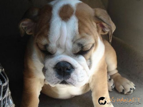 Най-интересните сниМки за днес - 08.06.2010 г.