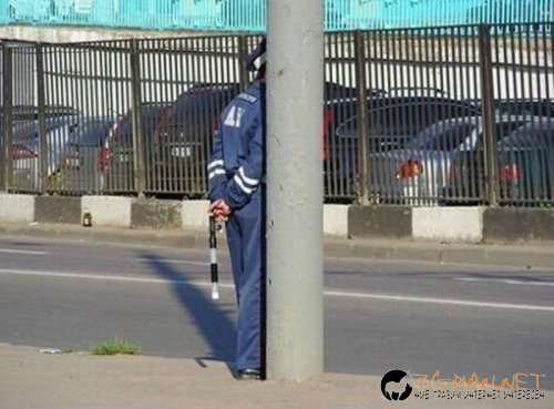 Най-интересните сниМки за днес - 08.06.2010 г.