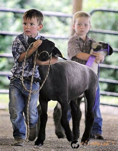 Най-интересните сниМки за днес - 08.06.2010 г.