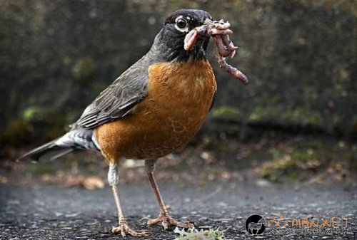 Най-интересните сниМки за днес - 08.06.2010 г.