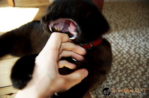 Най-интересните сниМки за днес - 08.06.2010 г.