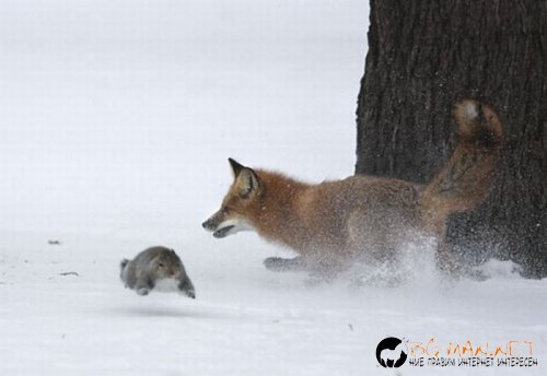 Най-интересните сниМки за днес - 08.06.2010 г.